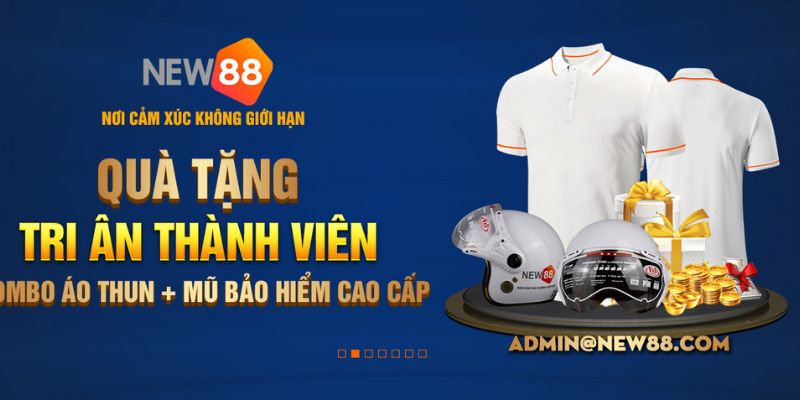 Thông tin về NEW88